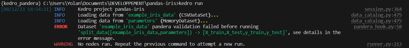 log_failed_validation_during_kedro_run